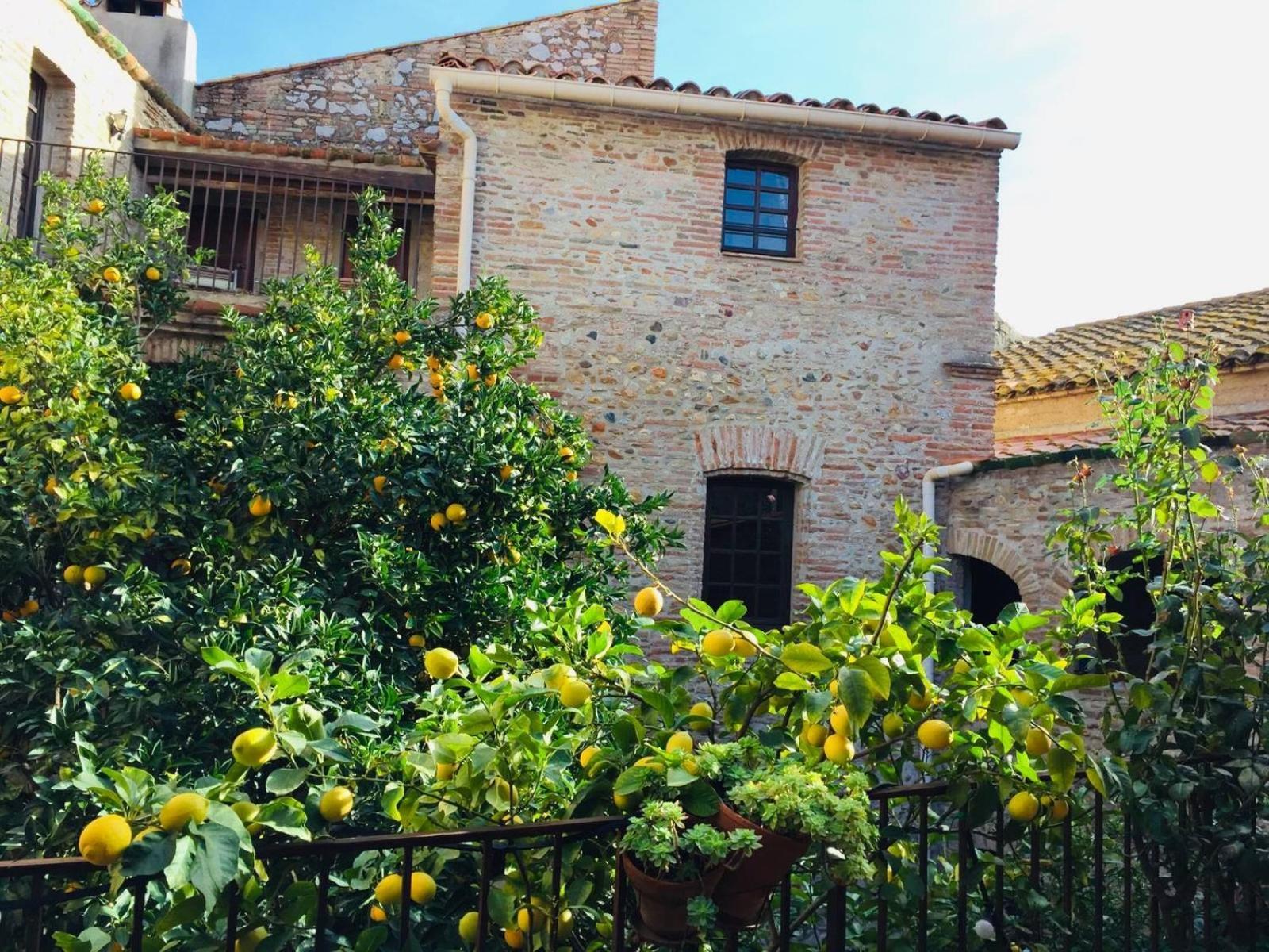 La Vieille Demeure Hotel Torreilles Exterior foto